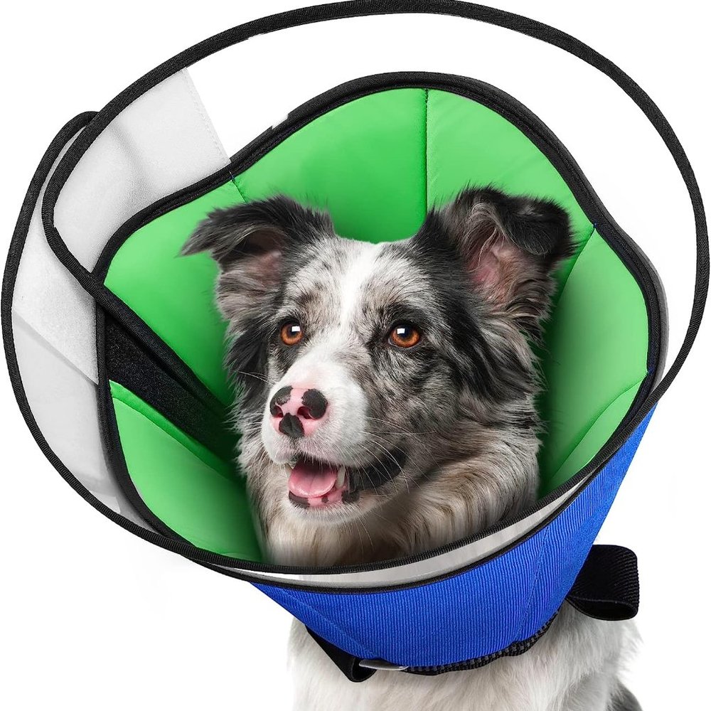 Soft Dog Cone Collar Size Medium Padded Blue For After Surgery Dressings Wounds